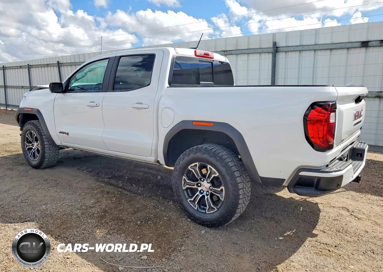 2024 GMC Canyon At4 VIN:1GTP6DEK9R1134446 - 2