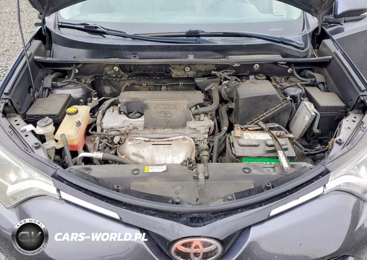 2016 Toyota Rav4 Xle VIN:2T3RFREV6GW452037 - 12