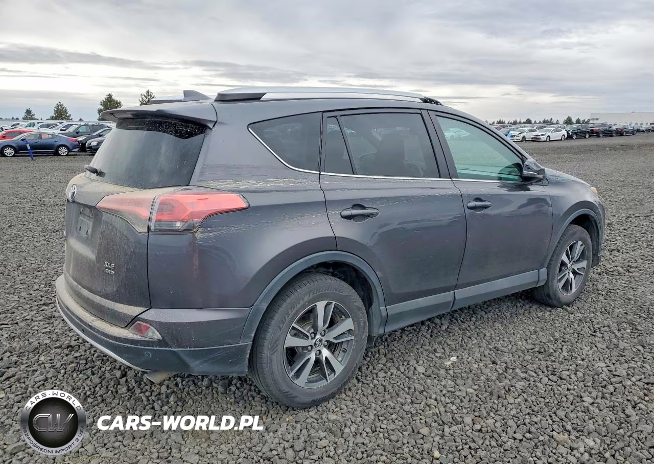 2016 Toyota Rav4 Xle VIN:2T3RFREV6GW452037 - 3