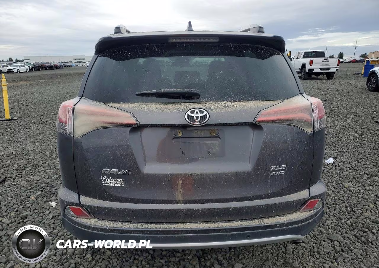 2016 Toyota Rav4 Xle VIN:2T3RFREV6GW452037 - 6