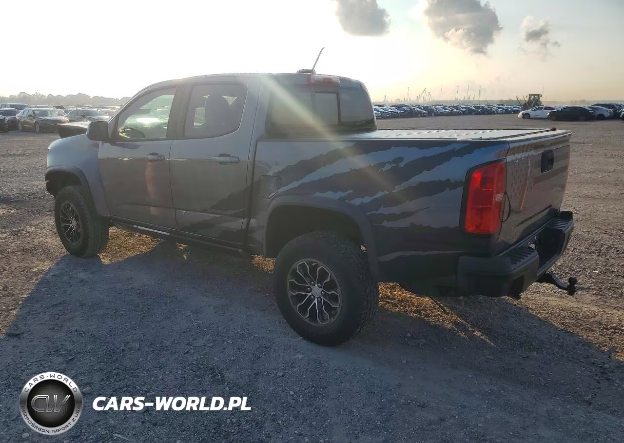 2019 Chevrolet Colorado Zr2 VIN:1GCGTEEN6K1134791 - 2