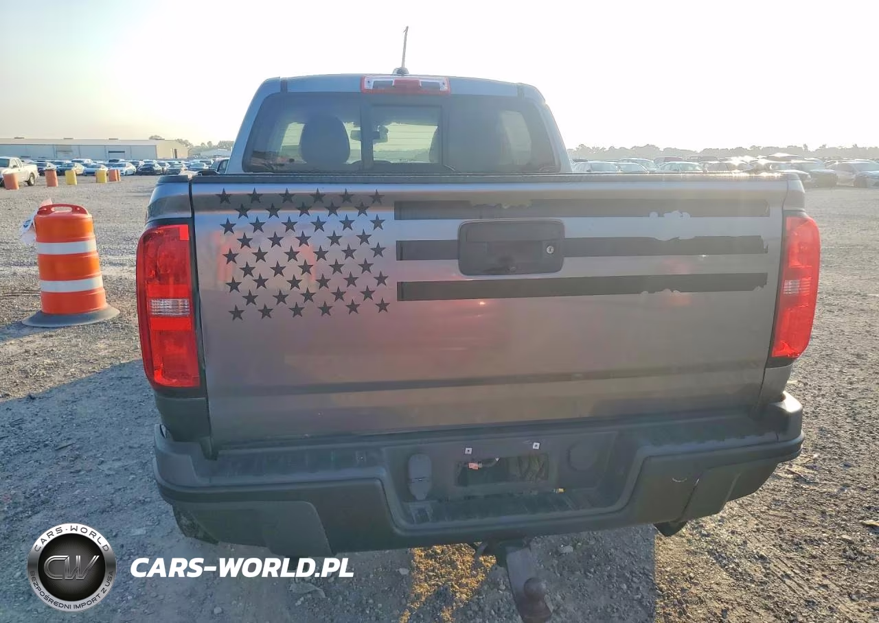 2019 Chevrolet Colorado Zr2 VIN:1GCGTEEN6K1134791 - 6