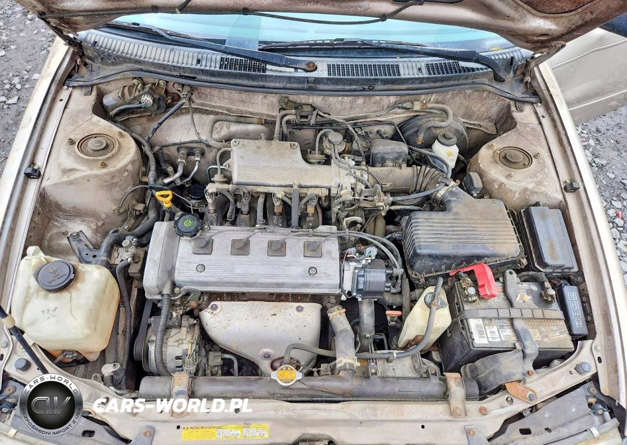 1995 Toyota Corolla Base VIN:2T1AE04B1SC077132 - 11