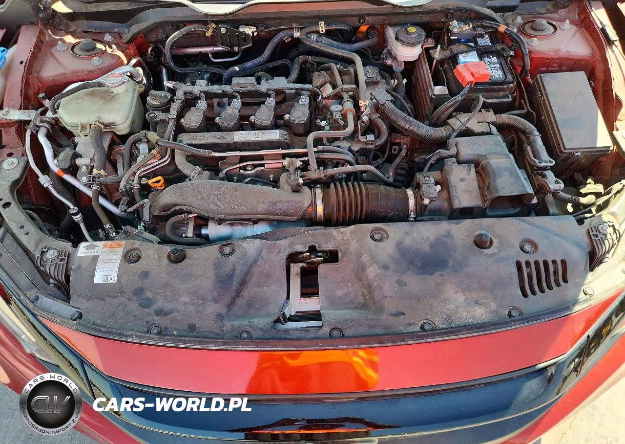 2020 Honda Civic Ex VIN:19XFC1F36LE203186 - 11