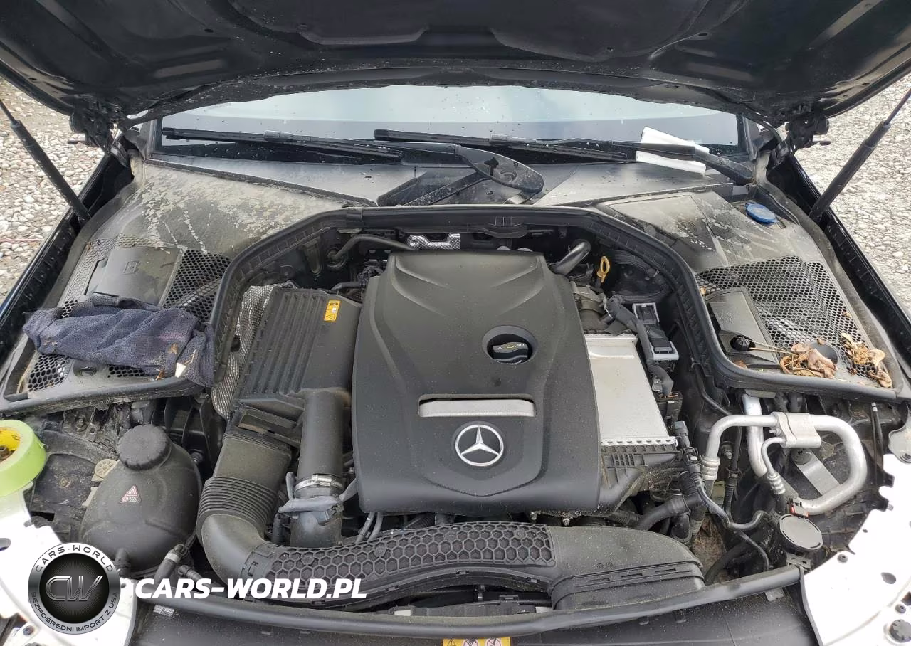2018 Mercedes-Benz C 300 VIN:WDDWJ4JB4JF744638 - 11