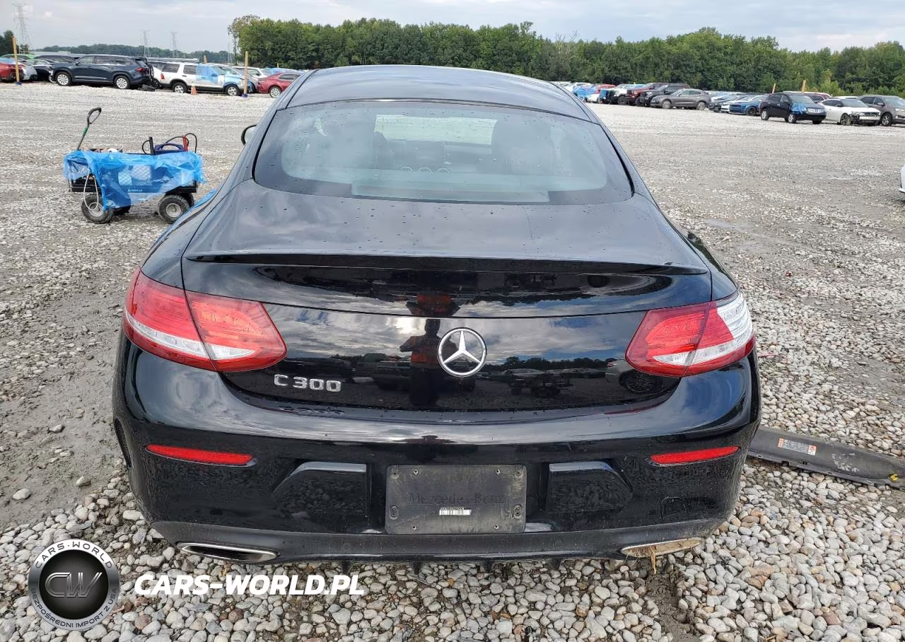 2018 Mercedes-Benz C 300 VIN:WDDWJ4JB4JF744638 - 6