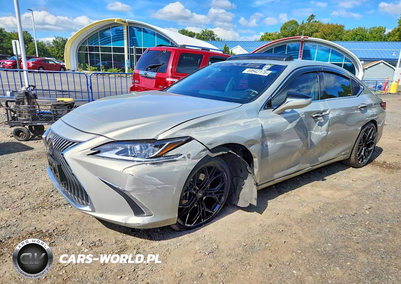 2021 Lexus Es 300H Luxury VIN:58AEA1C14MU010241 - 1