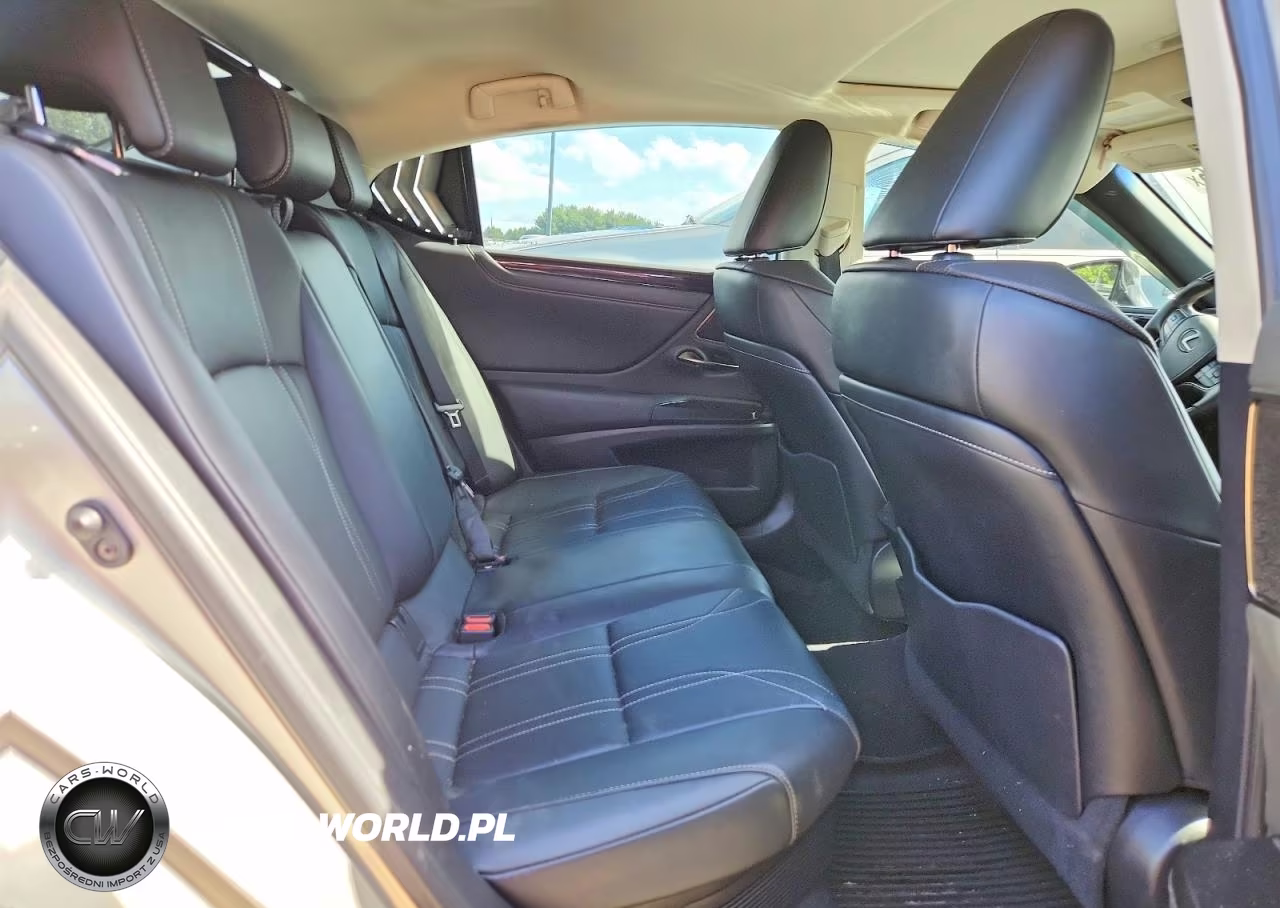 2021 Lexus Es 300H Luxury VIN:58AEA1C14MU010241 - 10