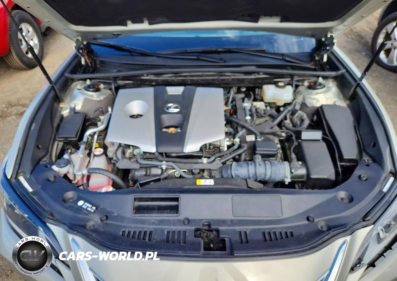 2021 Lexus Es 300H Luxury VIN:58AEA1C14MU010241 - 11