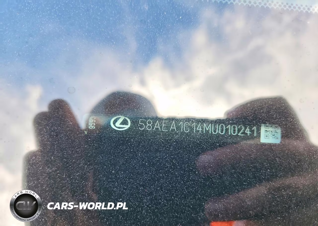 2021 Lexus Es 300H Luxury VIN:58AEA1C14MU010241 - 12