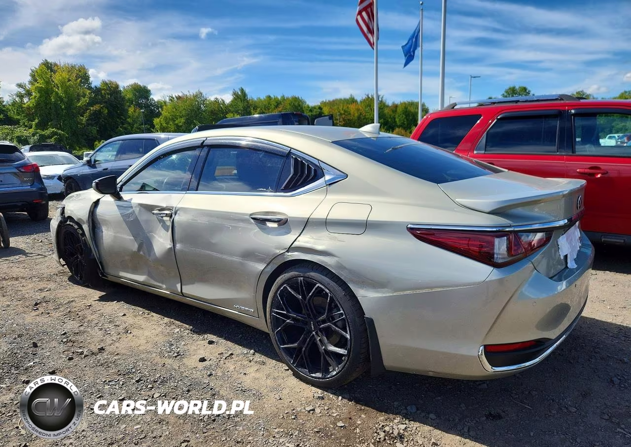 2021 Lexus Es 300H Luxury VIN:58AEA1C14MU010241 - 2
