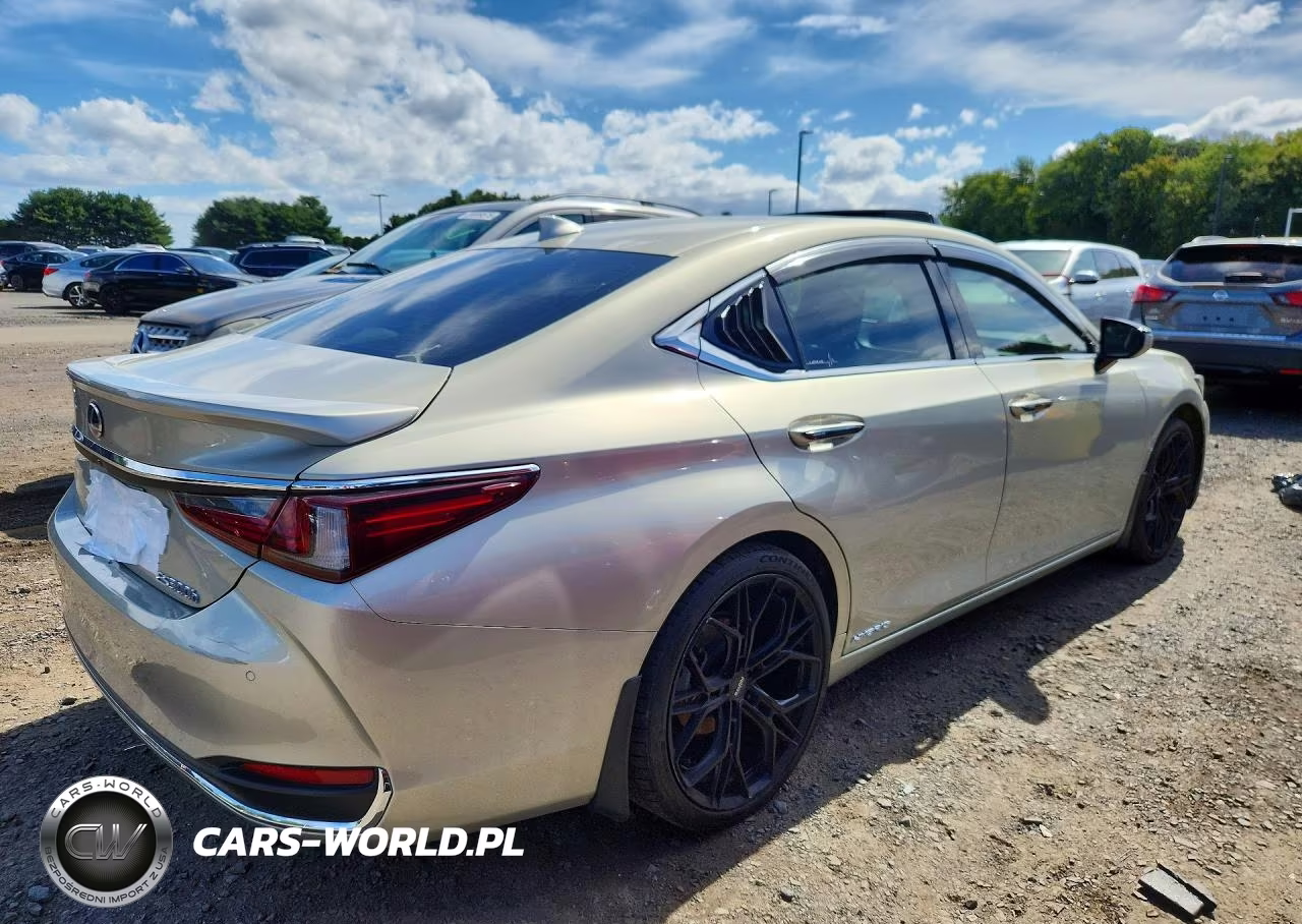 2021 Lexus Es 300H Luxury VIN:58AEA1C14MU010241 - 3