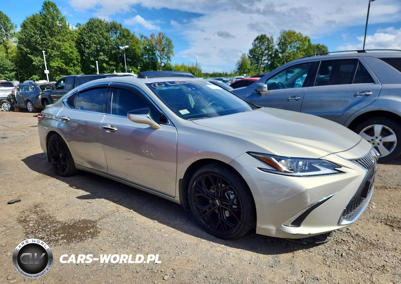 2021 Lexus Es 300H Luxury VIN:58AEA1C14MU010241 - 4