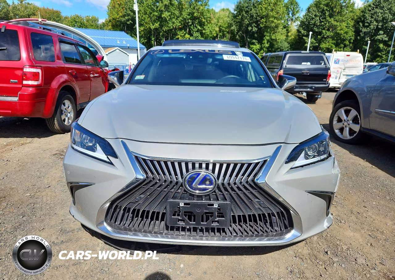 2021 Lexus Es 300H Luxury VIN:58AEA1C14MU010241 - 5