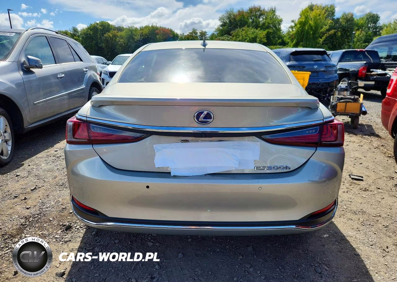 2021 Lexus Es 300H Luxury VIN:58AEA1C14MU010241 - 6