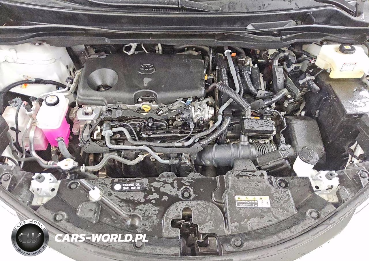 2025 Toyota Sienna Xle 8-Passenger VIN:5TDYRKEC6SS256974 - 12