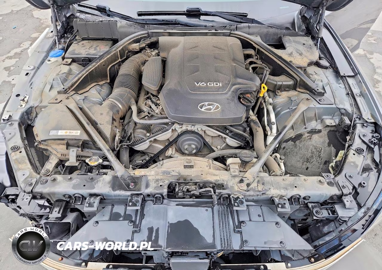 2015 Hyundai Genesis 3.8L VIN:KMHGN4JEXFU062522 - 11