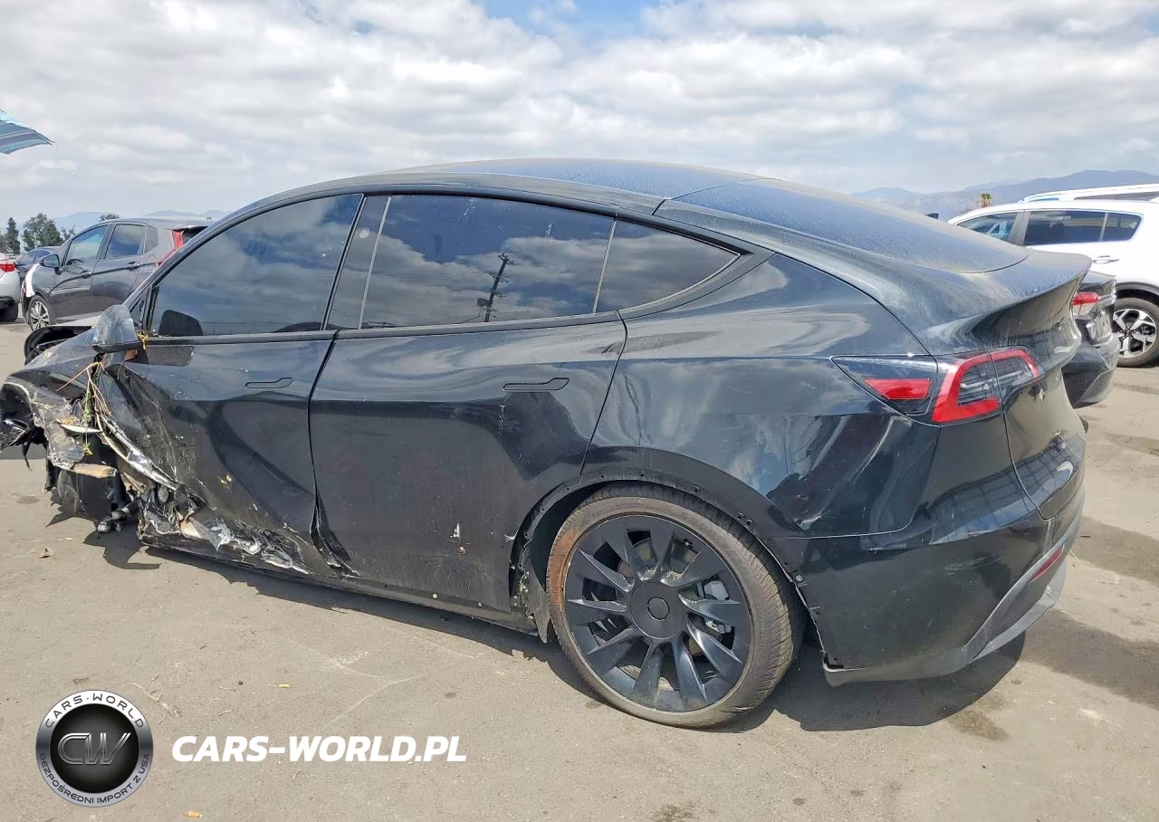 2025 Tesla Model Y VIN:7SAYGDED7SF219854 - 2