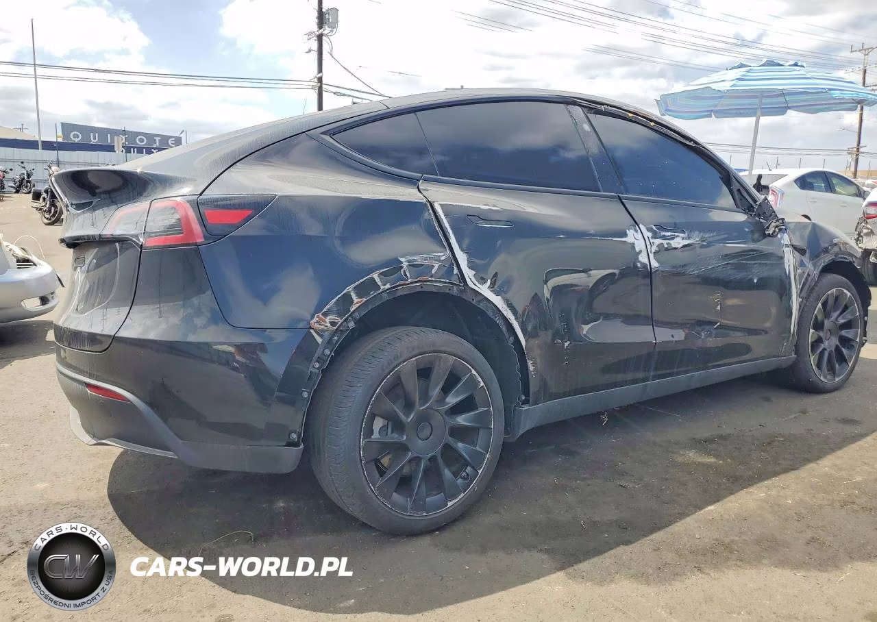 2025 Tesla Model Y VIN:7SAYGDED7SF219854 - 3