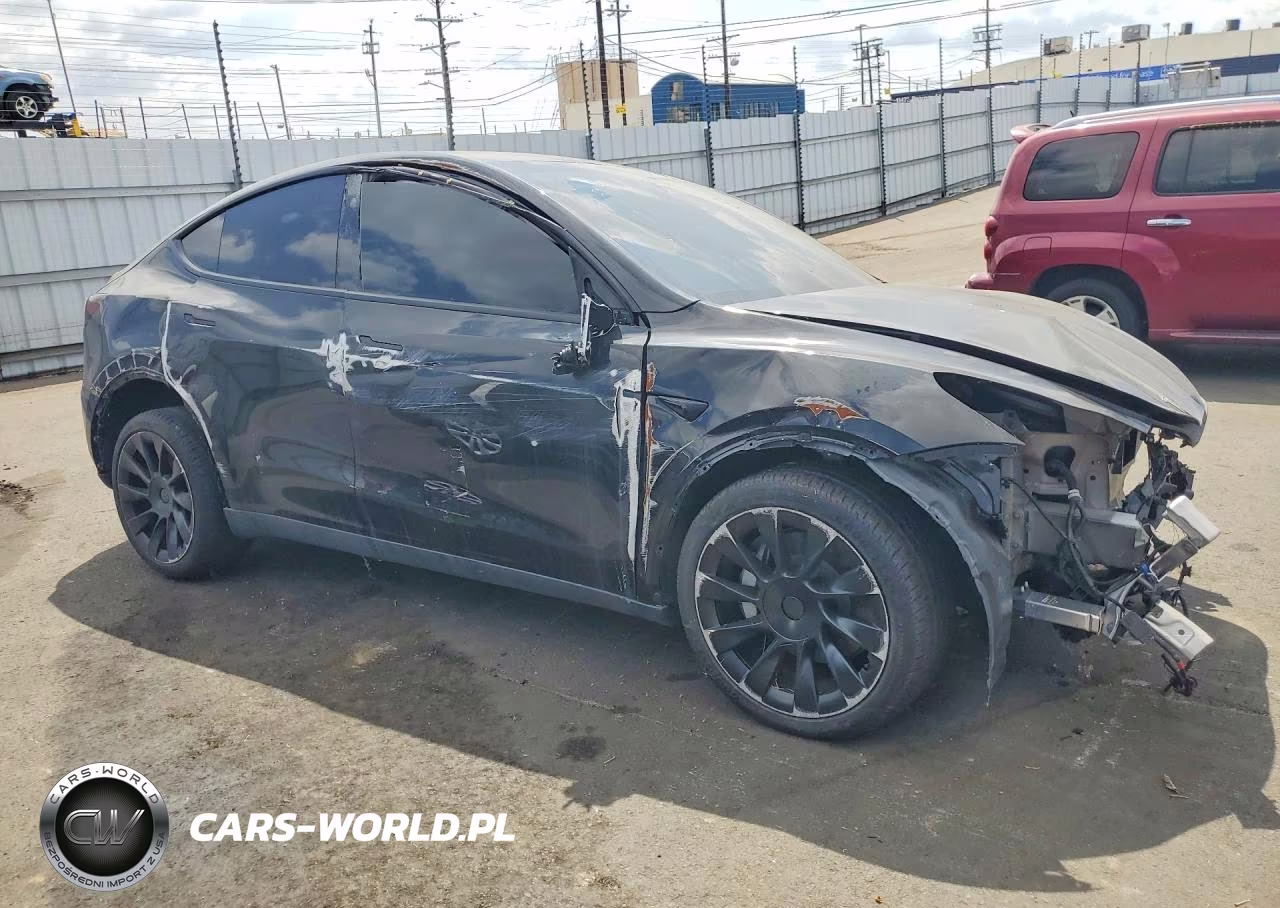 2025 Tesla Model Y VIN:7SAYGDED7SF219854 - 4