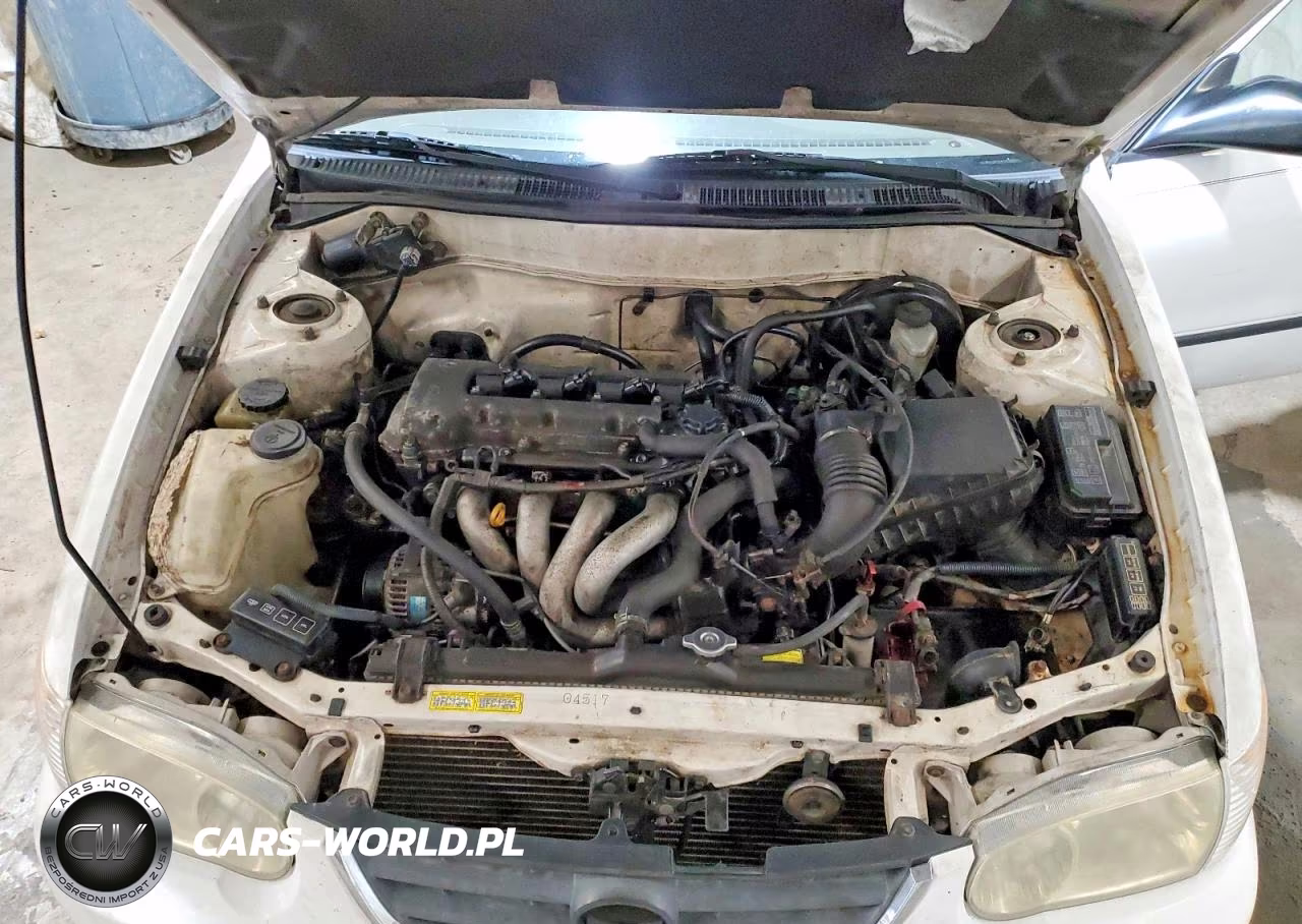 2001 Toyota Corolla Ce VIN:2T1BR12E11C503041 - 11