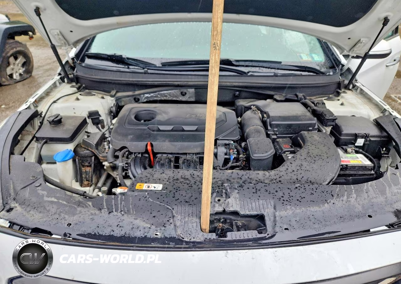 2017 Hyundai Sonata Sport VIN:5NPE34AFXHH446226 - 11