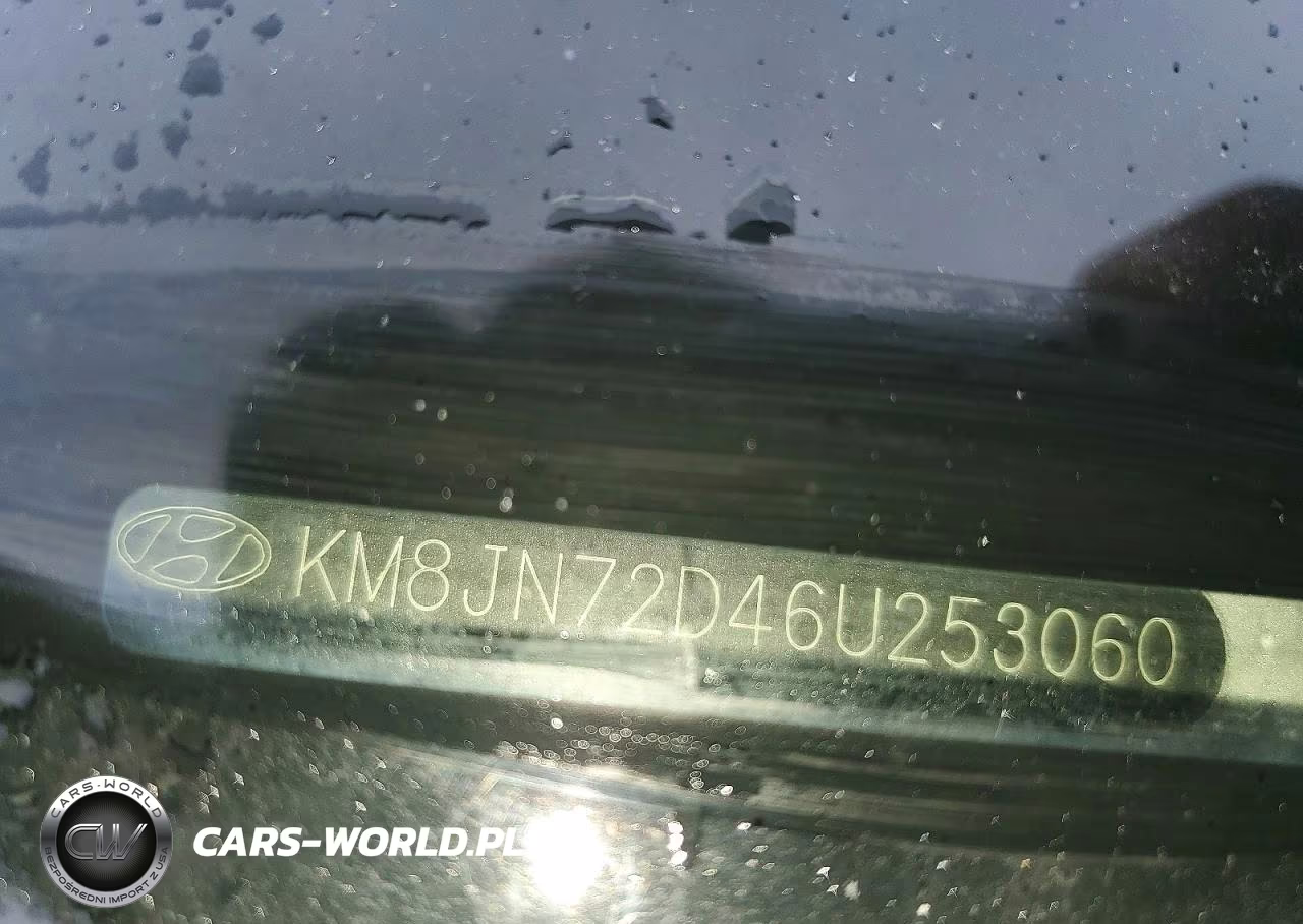 2006 Hyundai Tucson Gls VIN:KM8JN72D46U253060 - 12