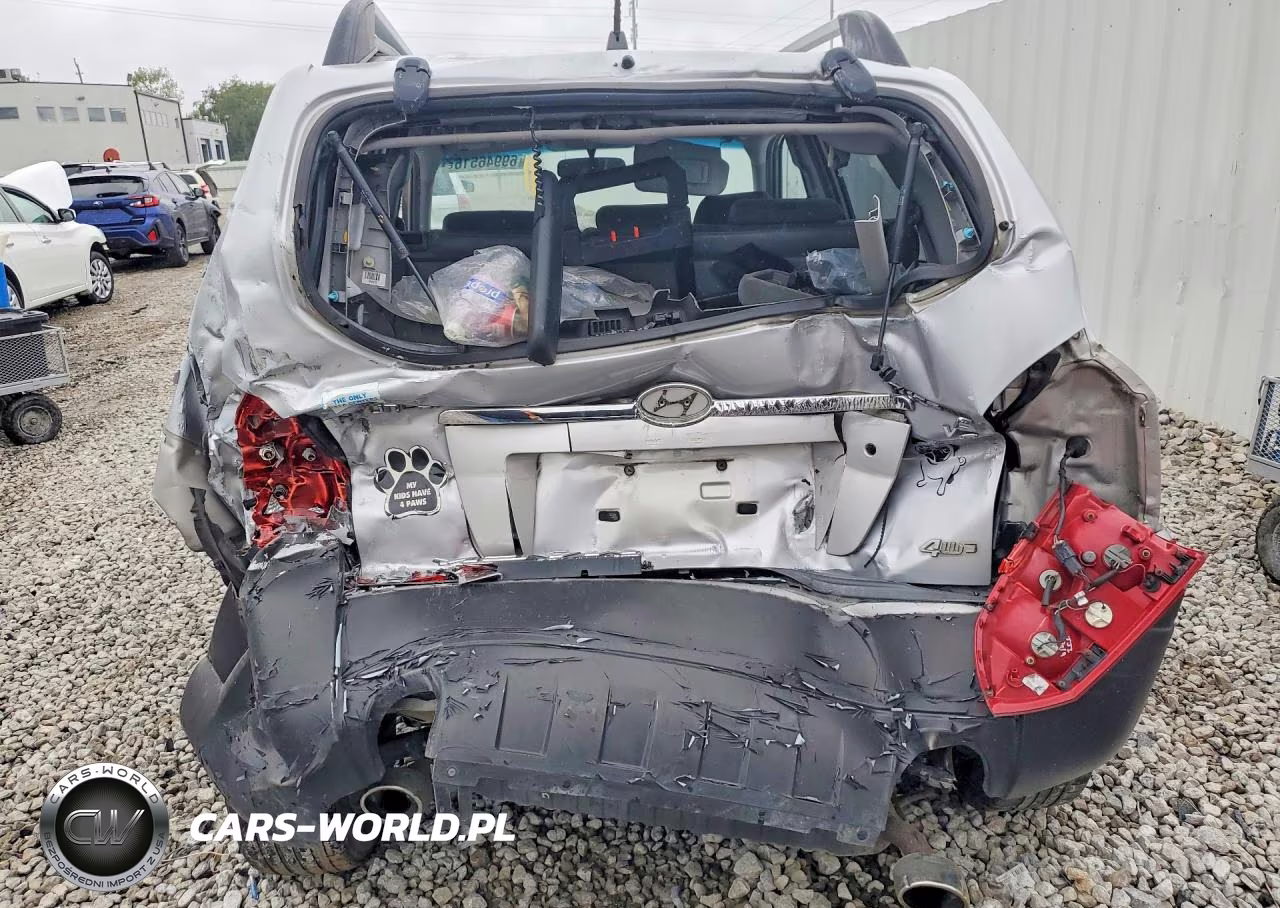 2006 Hyundai Tucson Gls VIN:KM8JN72D46U253060 - 6
