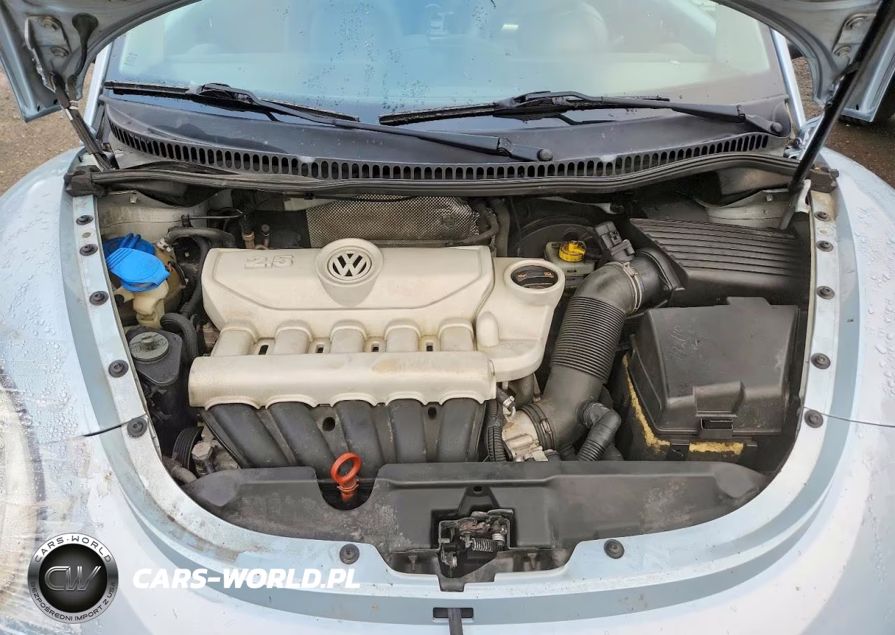 2010 Volkswagen New Beetle VIN:3VWPW3AG6AM010666 - 11