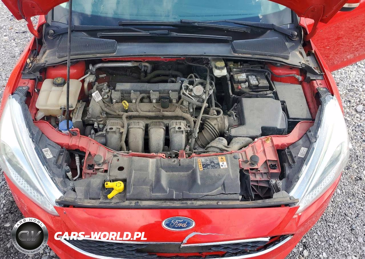 2017 Ford Focus Se VIN:1FADP3F28HL277003 - 11