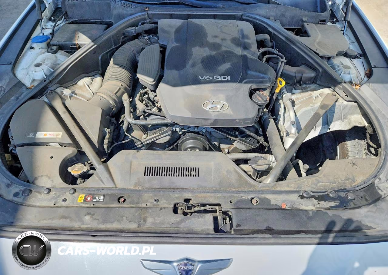 2015 Hyundai Genesis VIN:KMHGN4JEXGU119352 - 11