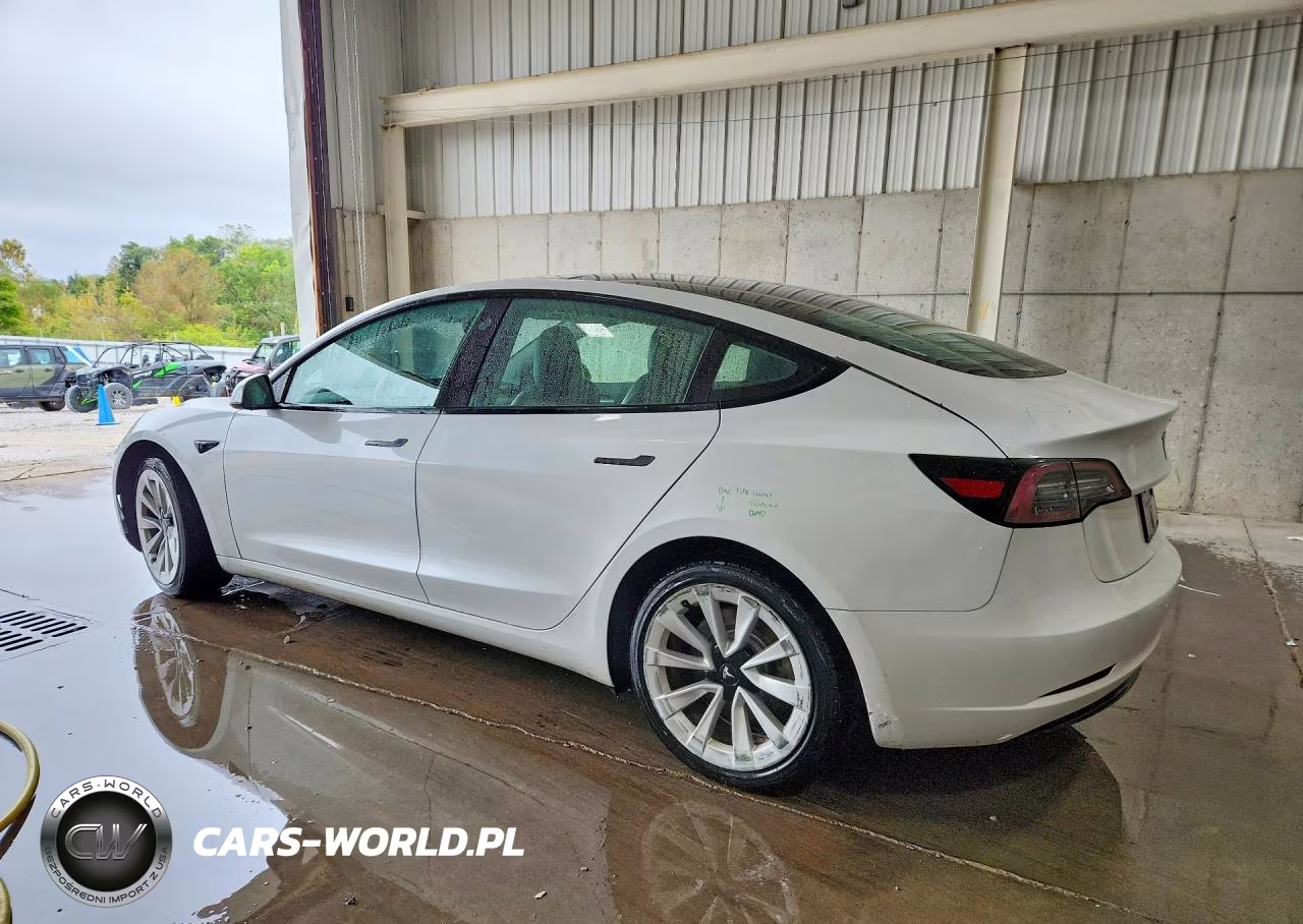 2023 Tesla Model 3 VIN:5YJ3E1EA8PF434183 - 2