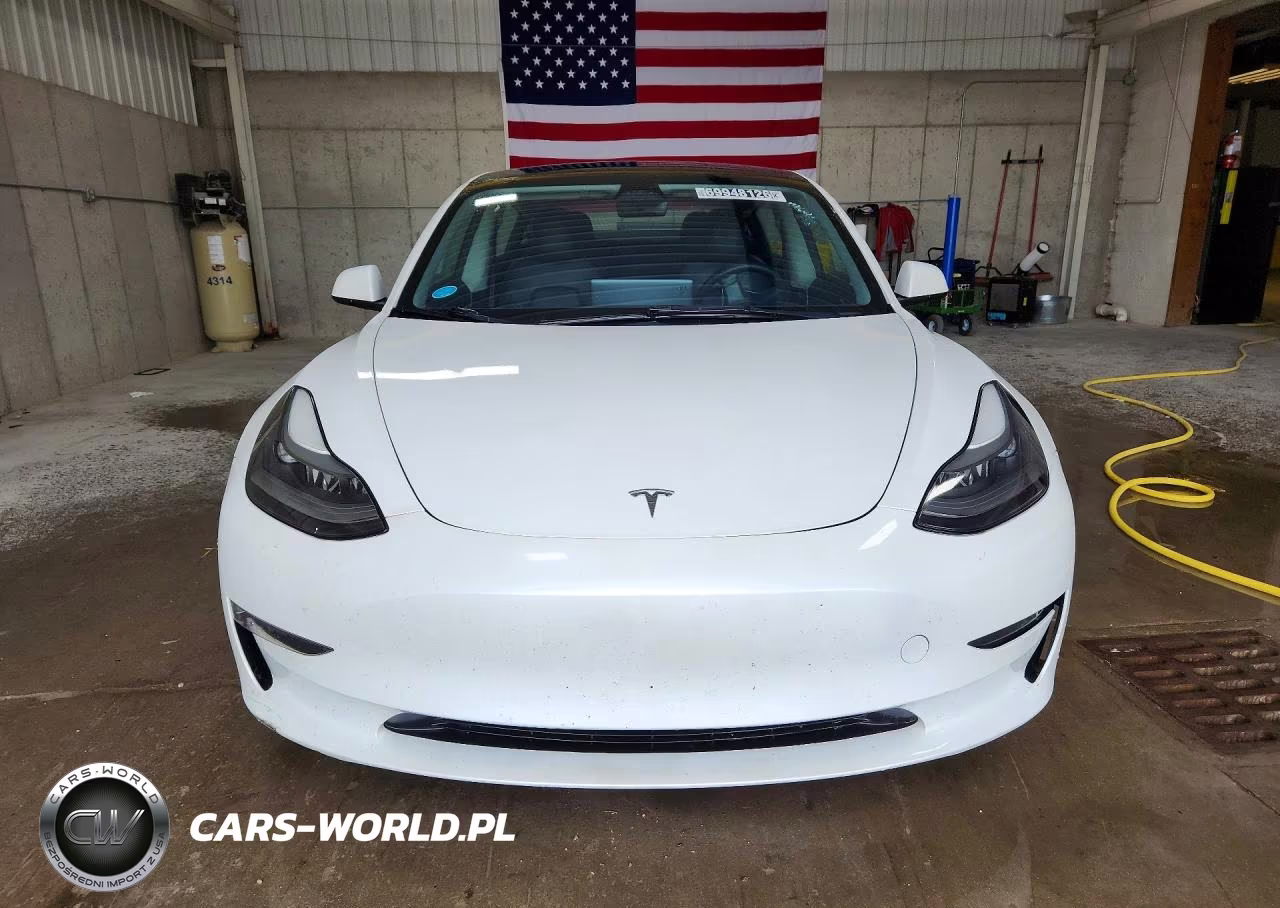 2023 Tesla Model 3 VIN:5YJ3E1EA8PF434183 - 5