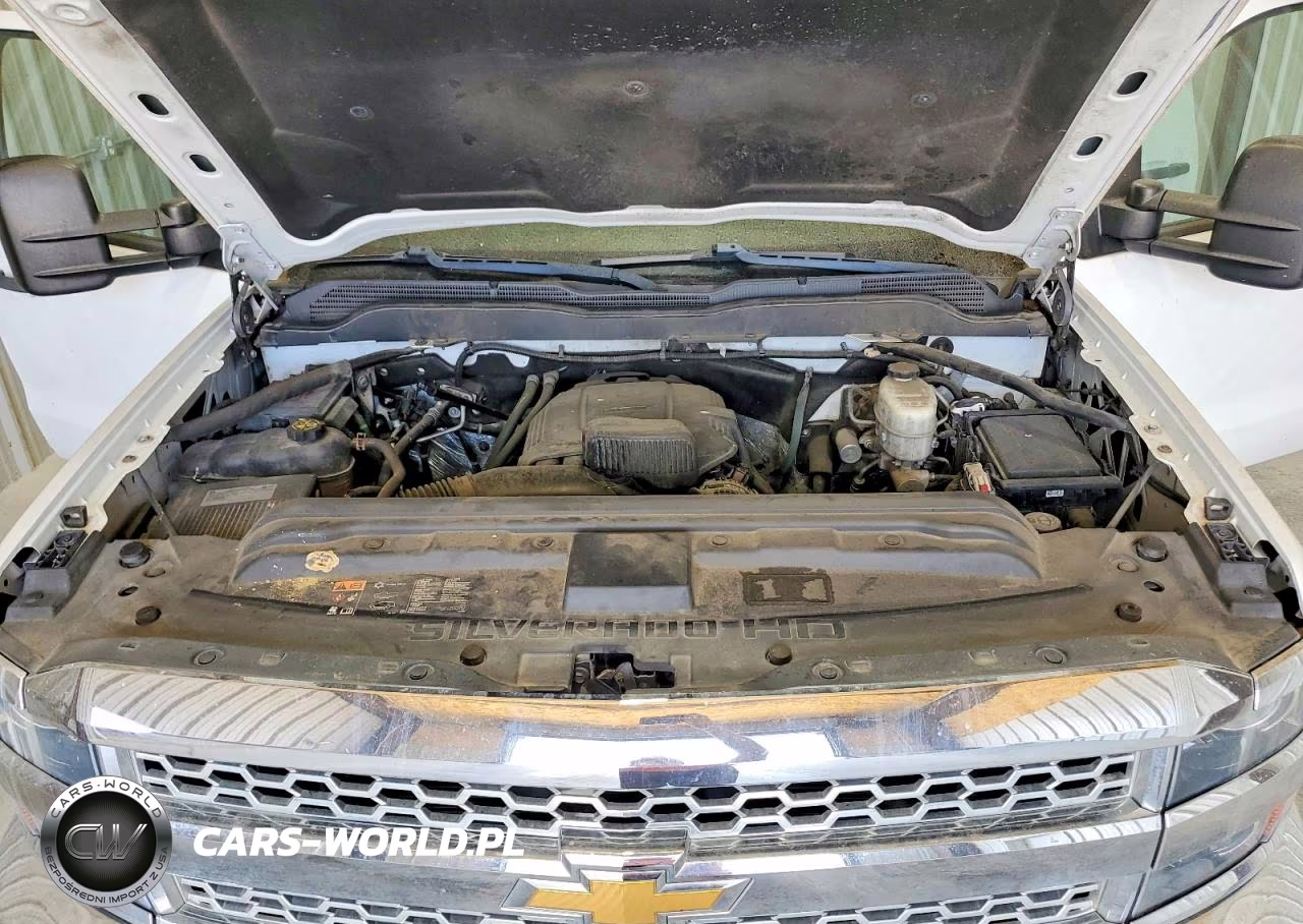 2019 Chevrolet Silverado C2500 Heavy Duty VIN:1GC1CREG2KF182094 - 11