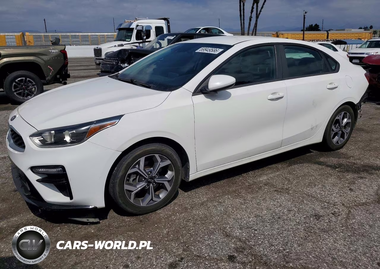 2019 Kia Forte Lxs