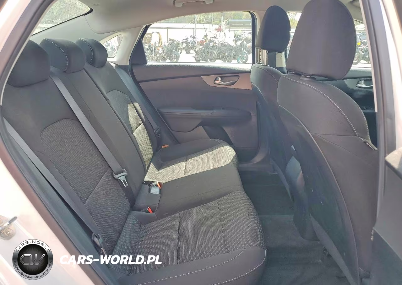 2019 Kia Forte Lxs VIN:3KPF24AD8KE120460 - 10