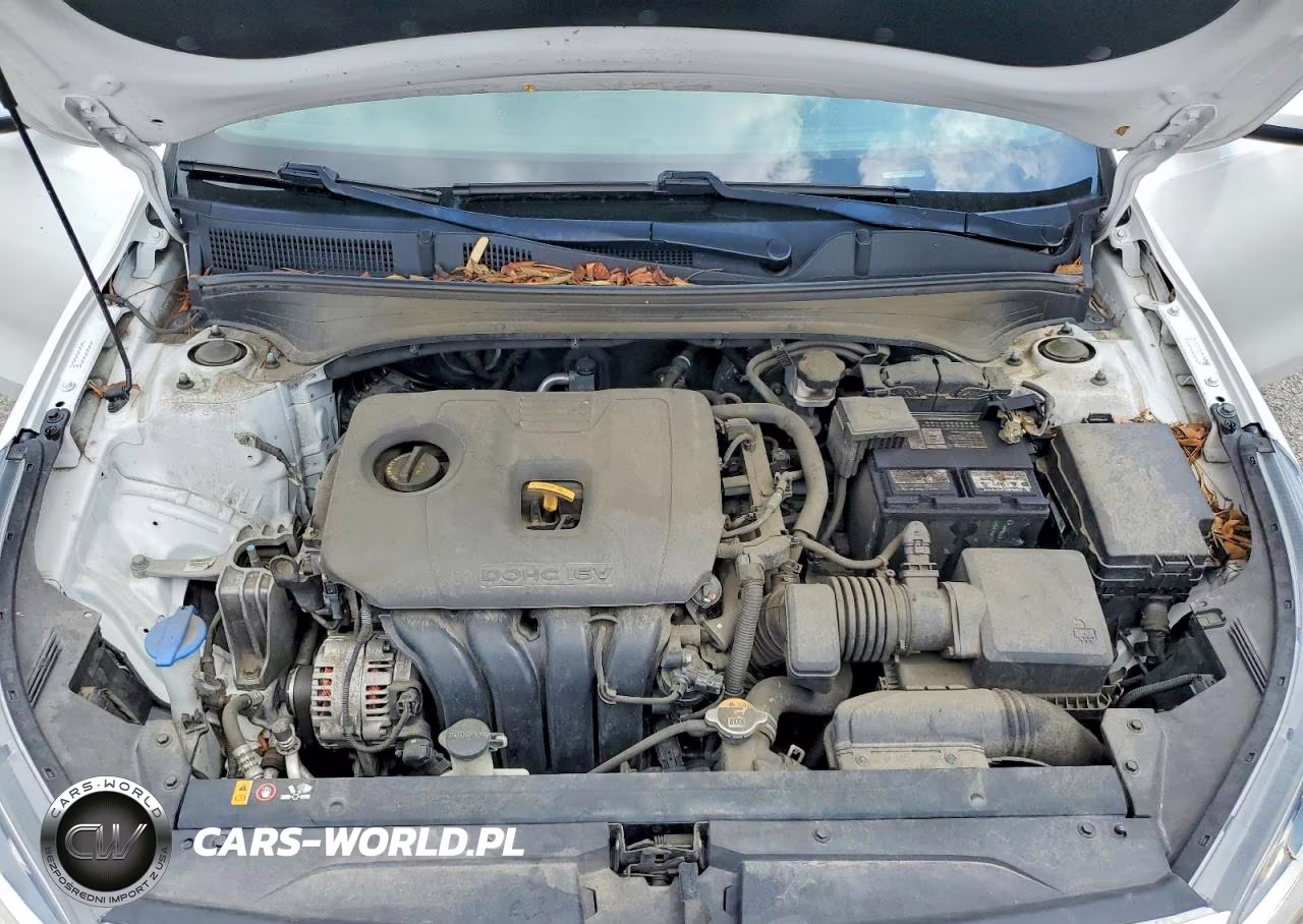 2019 Kia Forte Lxs VIN:3KPF24AD8KE120460 - 11