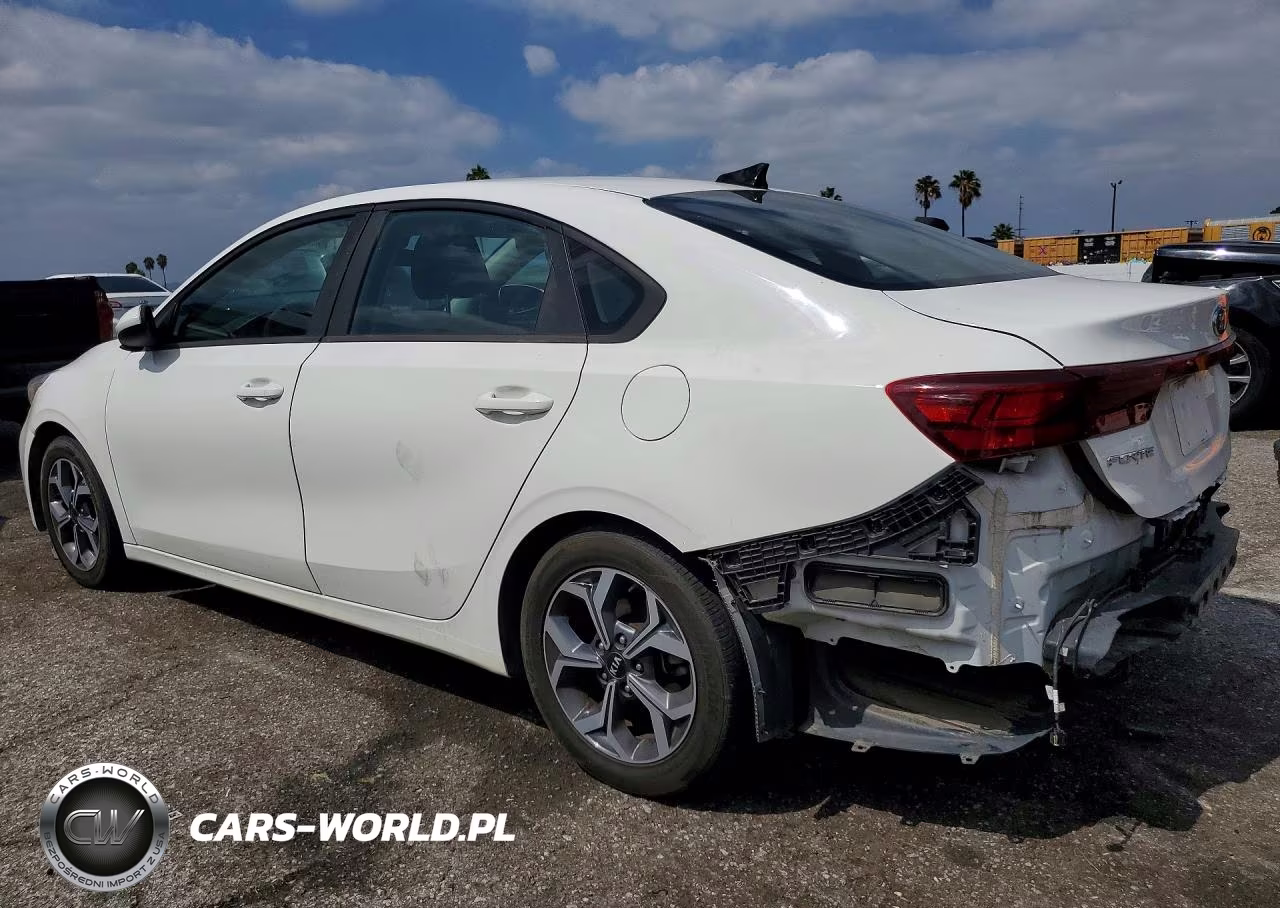2019 Kia Forte Lxs VIN:3KPF24AD8KE120460 - 2