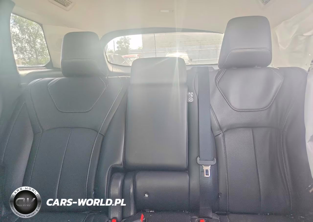 2024 Infiniti Qx60 Luxe VIN:5N1DL1FS0RC342398 - 10