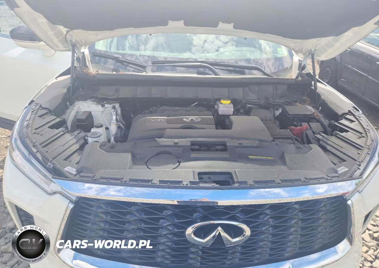 2024 Infiniti Qx60 Luxe VIN:5N1DL1FS0RC342398 - 12