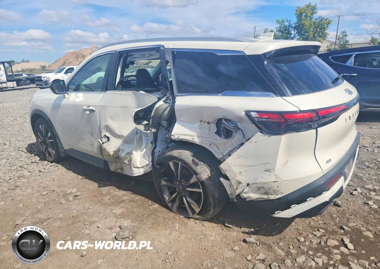 2024 Infiniti Qx60 Luxe VIN:5N1DL1FS0RC342398 - 2