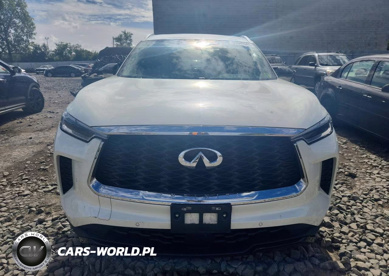 2024 Infiniti Qx60 Luxe VIN:5N1DL1FS0RC342398 - 5