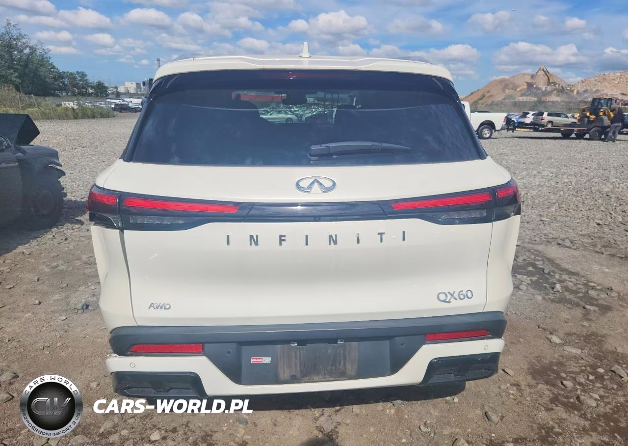 2024 Infiniti Qx60 Luxe VIN:5N1DL1FS0RC342398 - 6
