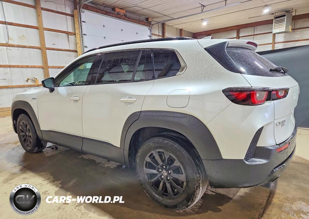 2025 Mazda Cx-50 Premium VIN:7MMVAADW1SN132259 - 2