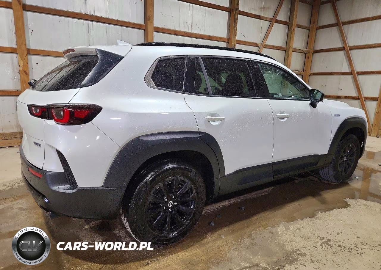 2025 Mazda Cx-50 Premium VIN:7MMVAADW1SN132259 - 3