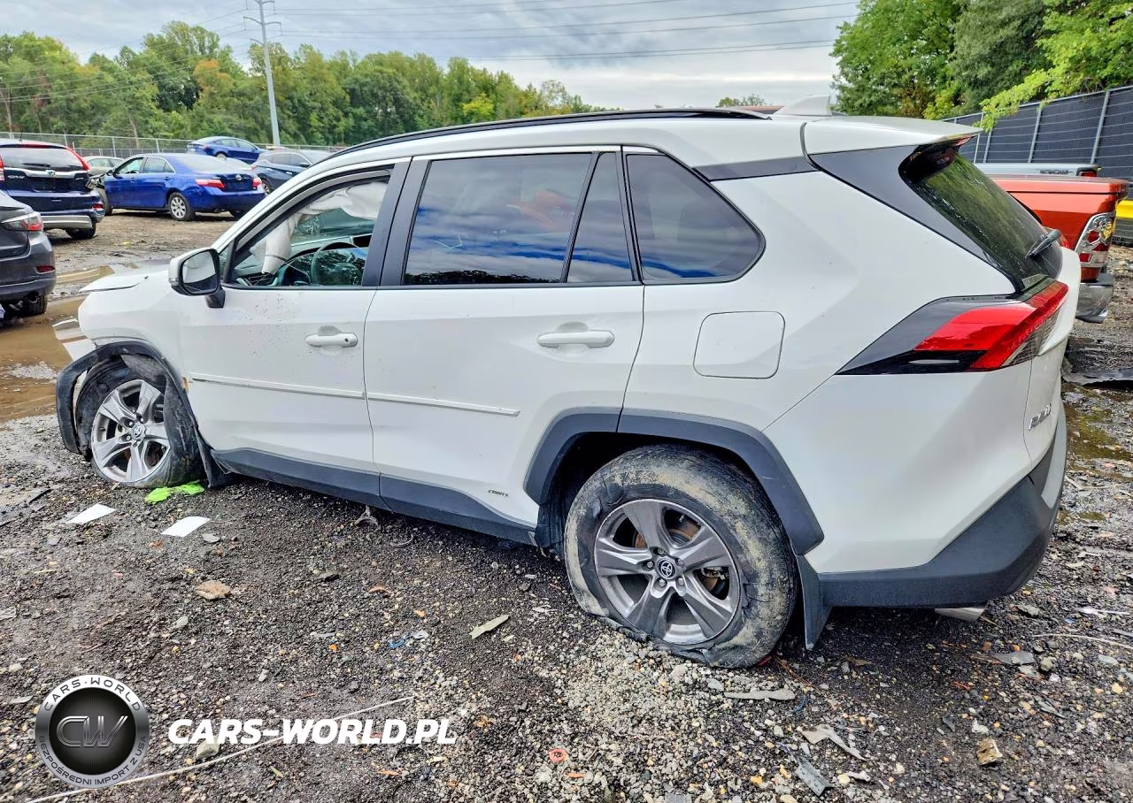 2024 Toyota Rav4 Hybrid Xle VIN:4T3RWRFV7RU132520 - 2