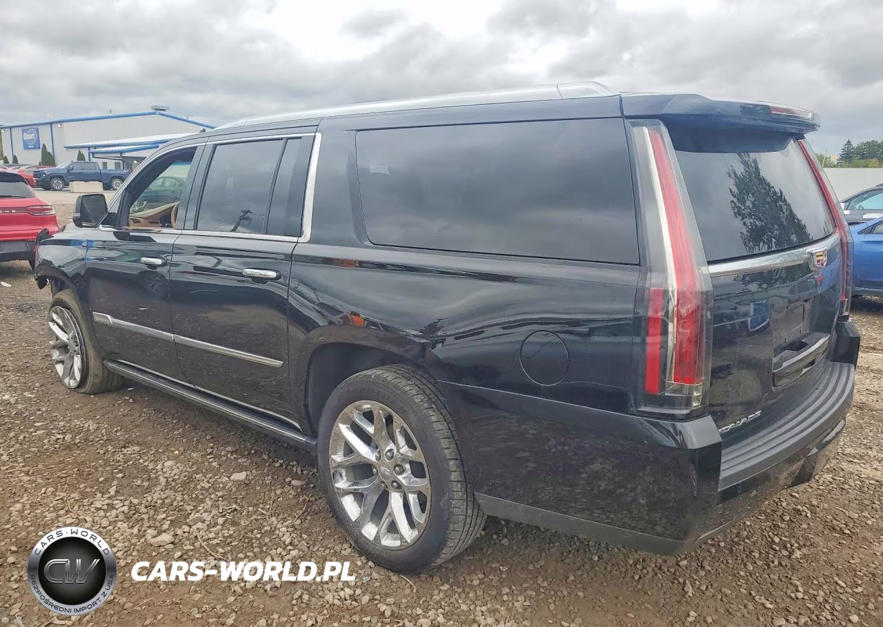 2017 Cadillac Escalade Esv Platinum VIN:1GYS4KKJ0HR376309 - 2