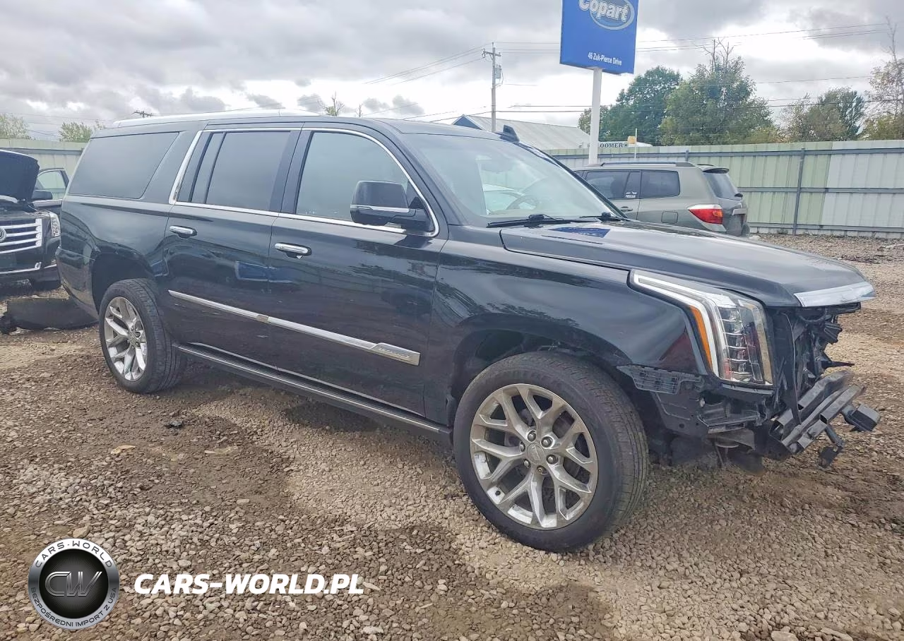 2017 Cadillac Escalade Esv Platinum VIN:1GYS4KKJ0HR376309 - 4