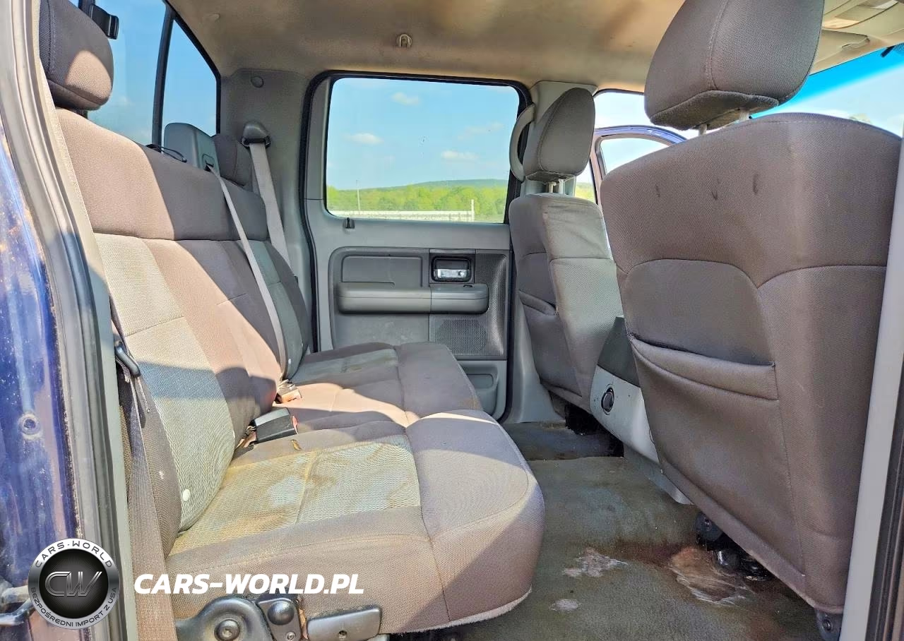 2005 Ford F150 Supercrew VIN:1FTPW14535FB43313 - 10