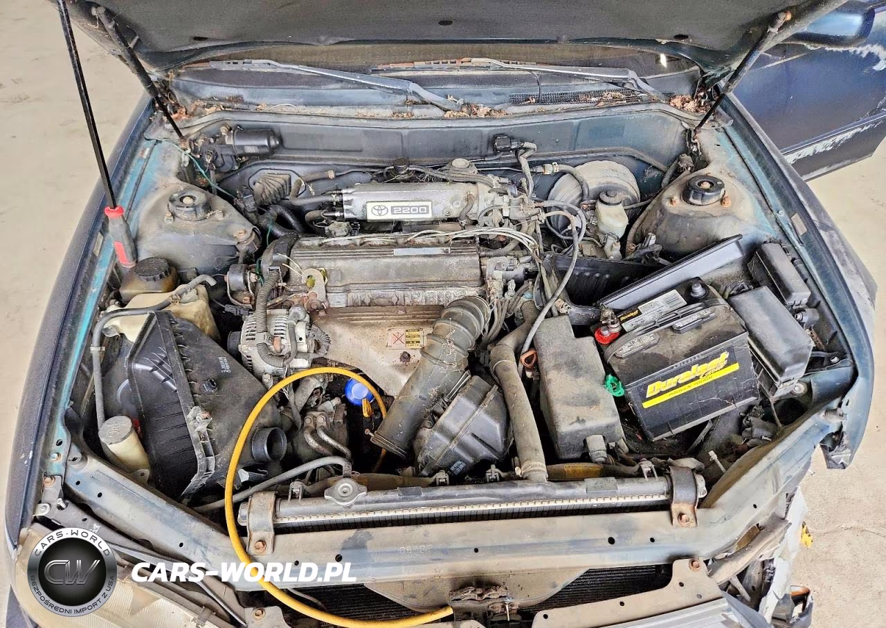 1994 Toyota Camry Le VIN:4T1SK12E8RU437313 - 11